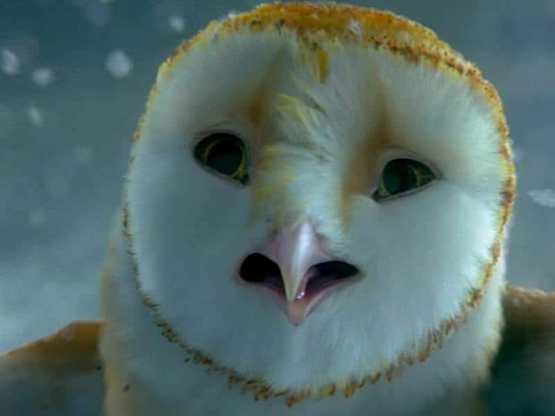 Zack Snyder Talks 'Legend of the Guardians: The Owls of Ga'Hoole'