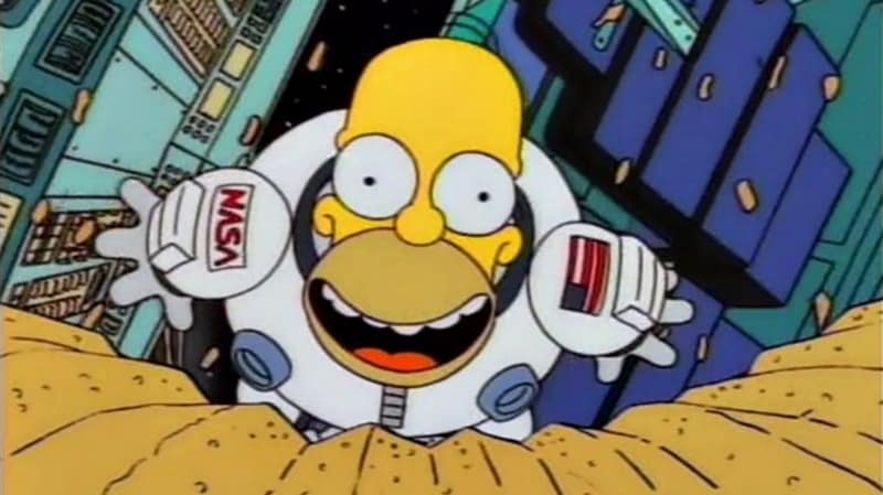 The Simpsons Deep Space Homer