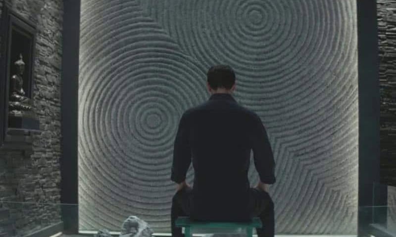 Man Of Tai Chi