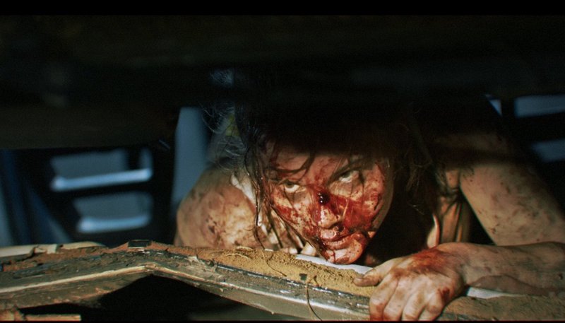 Thumbnail for ‘Lake Bodom’ Review: A Rare Horror Film Out of Finland Puts a Twist on the Slasher