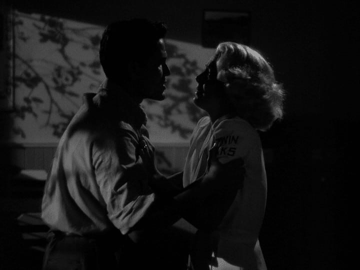 The Postman Always Rings Twice film noir