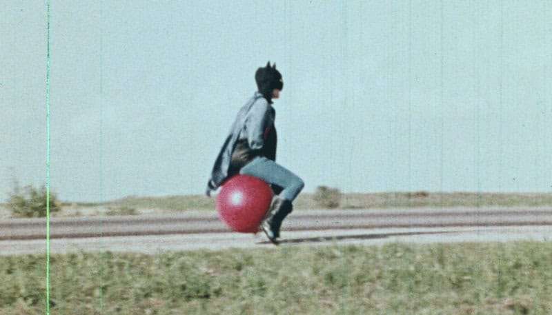 Discs Bat Pussy