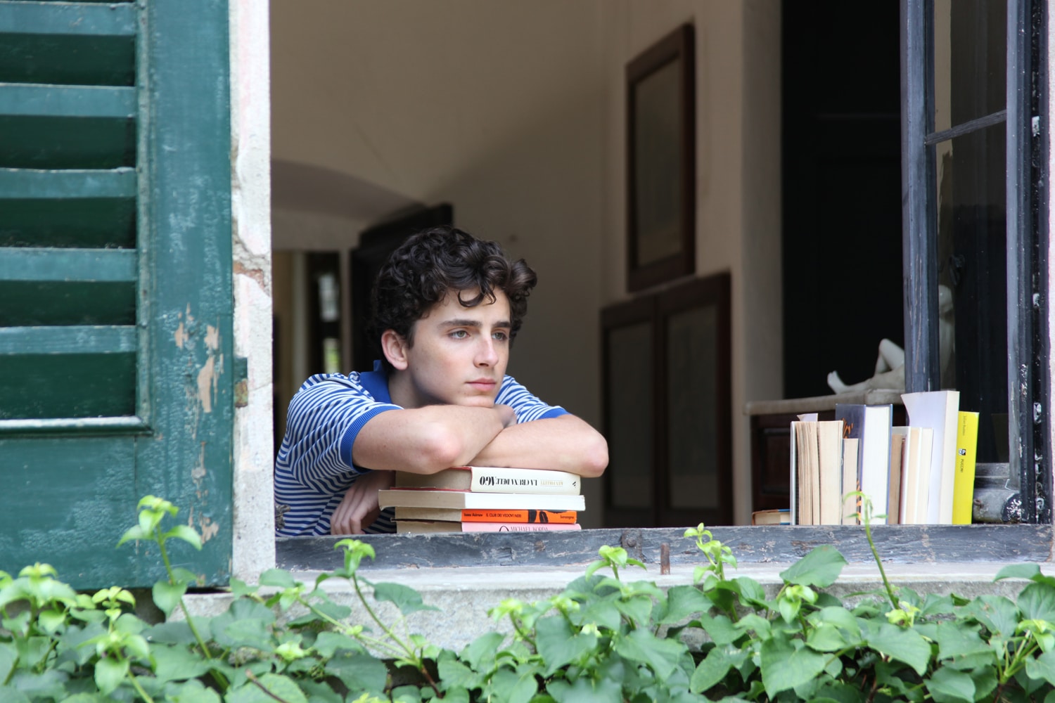 Call Me By Your Name Timothee Chalamet