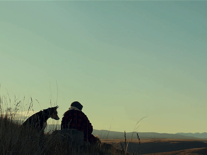 Hunt For The Wilderpeople Sunset