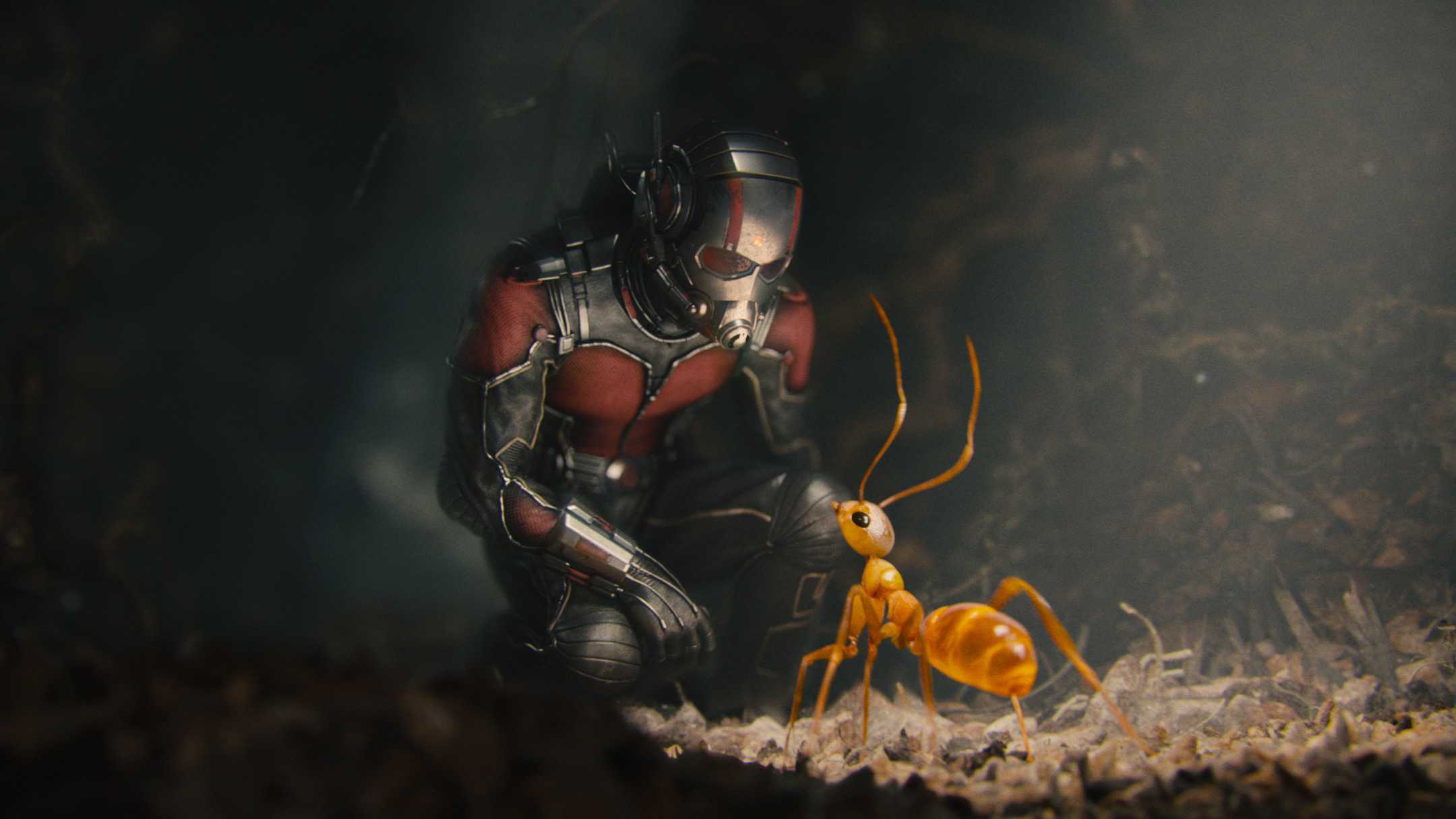 Ant Man And Ant