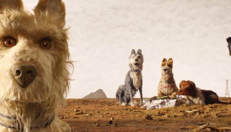 Thumbnail for What’s Next for the 2018 Oscar Winners?