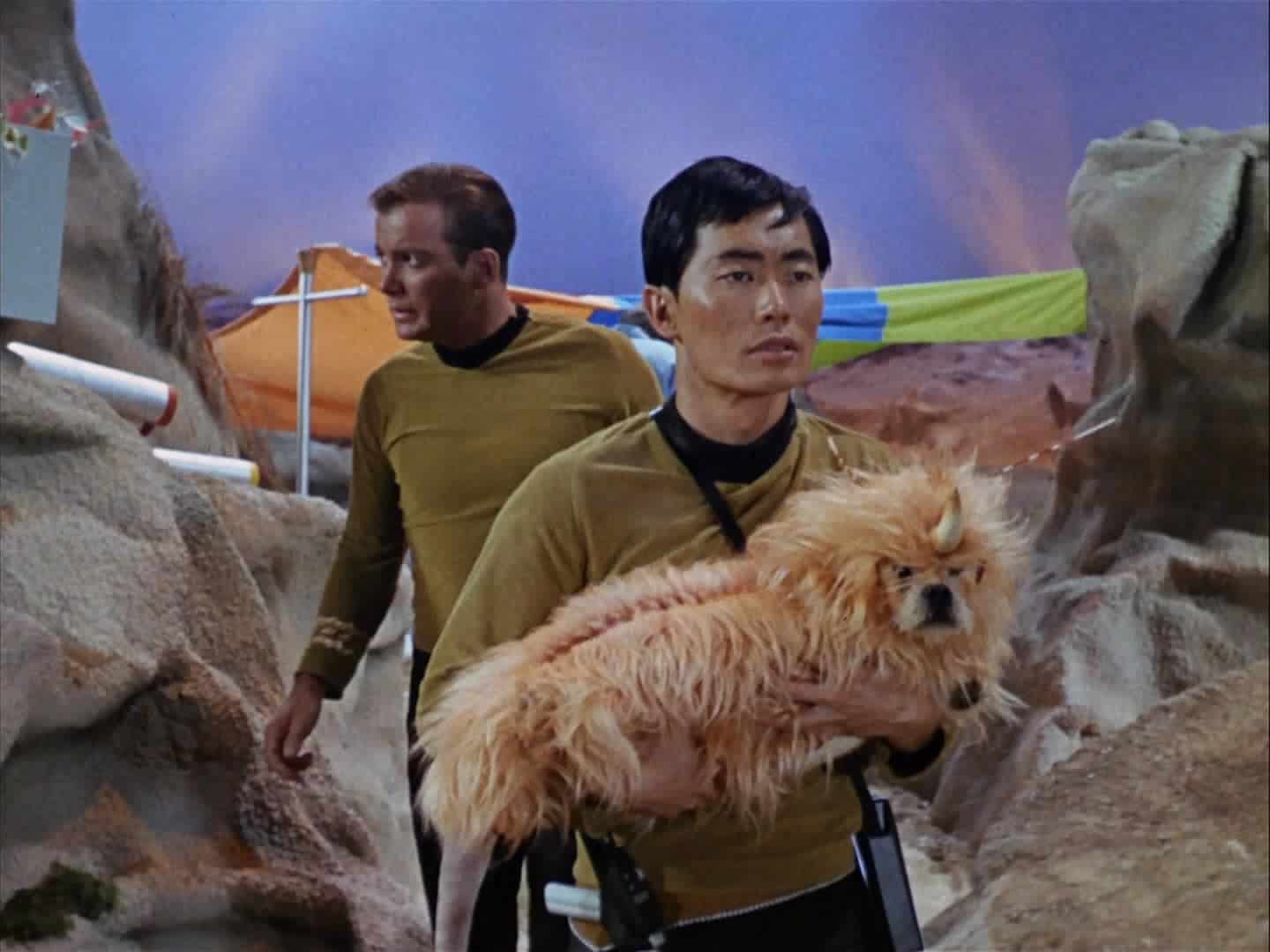 Star Trek Unicorn Dog