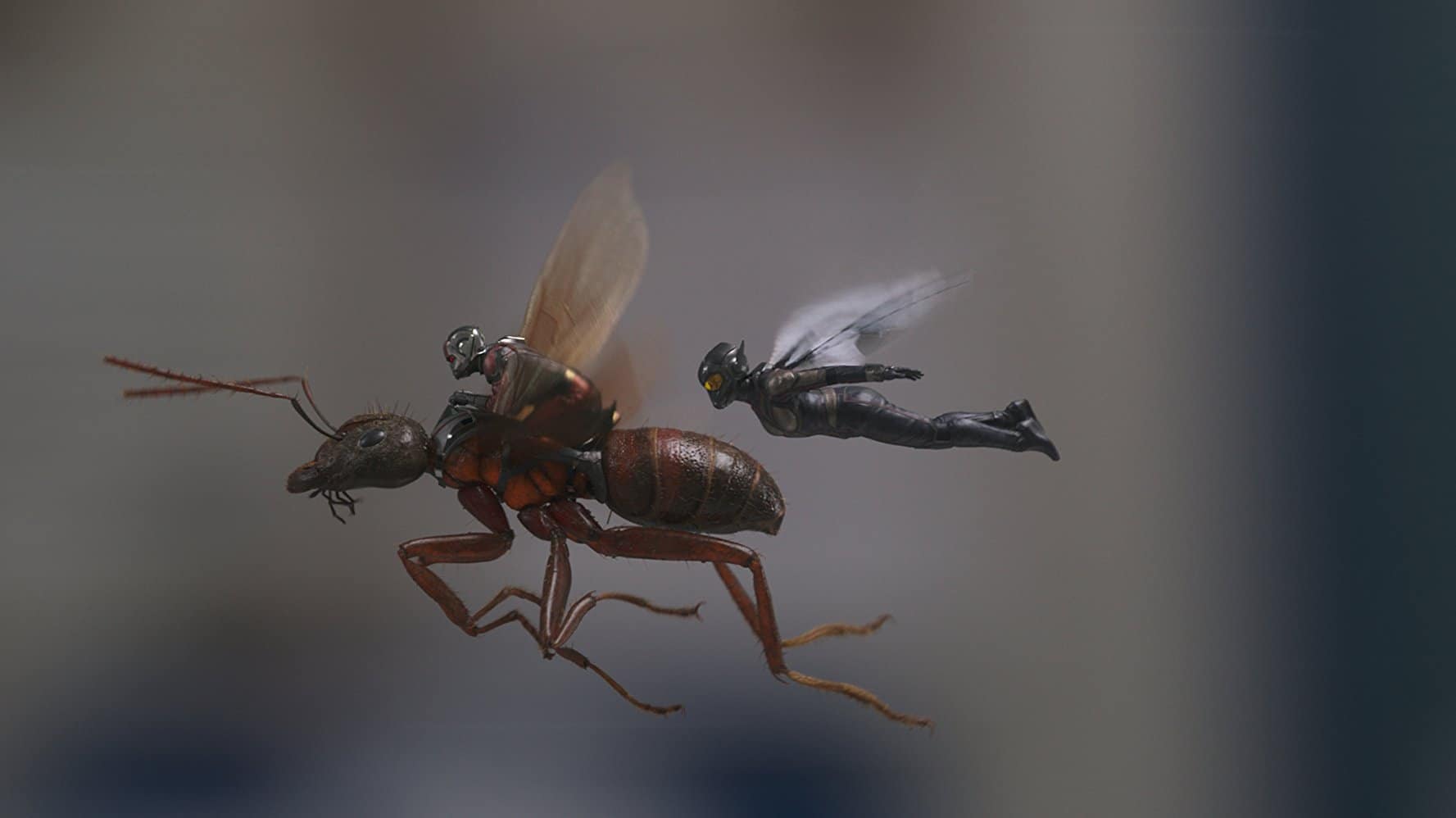 Ant Man And The Wasp Flying