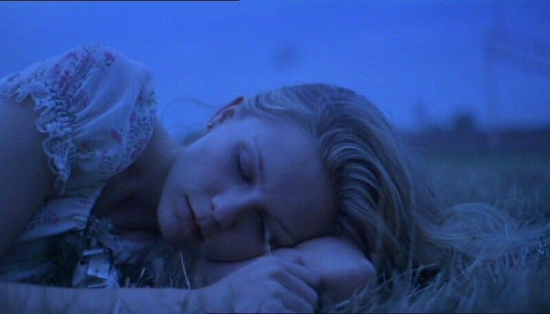 Discs The Virgin Suicides