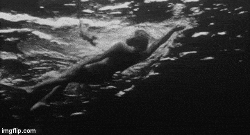 Creature From The Black Lagoon Gif