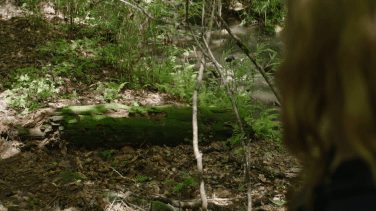 Sharp Objects Barren