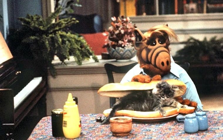 Alf Cat Lunch
