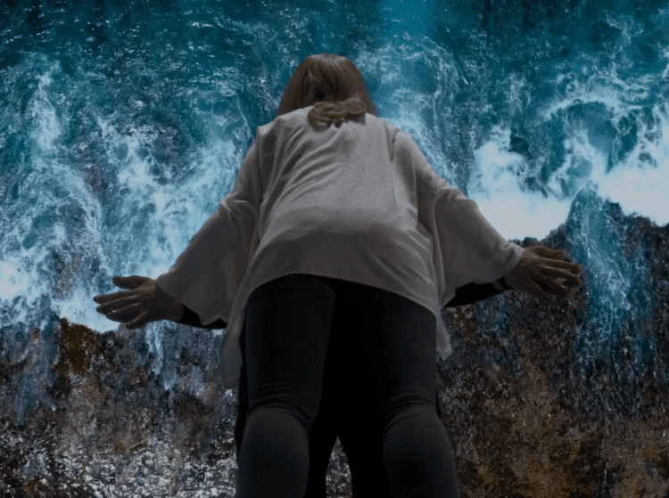 First Reformed Levitation Scene