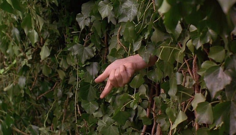 The Secret Garden