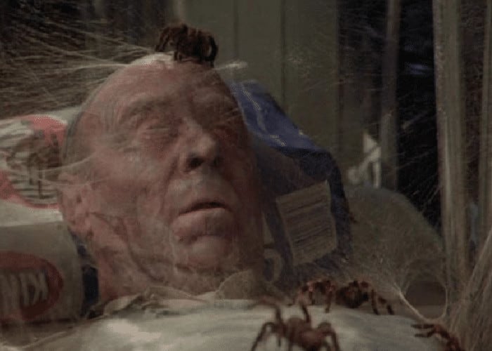 Arachnophobia