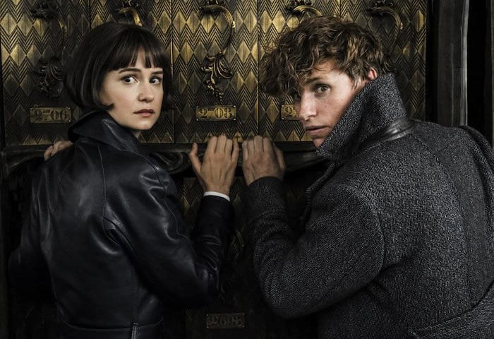 Grindelwald Waterston Redmayne