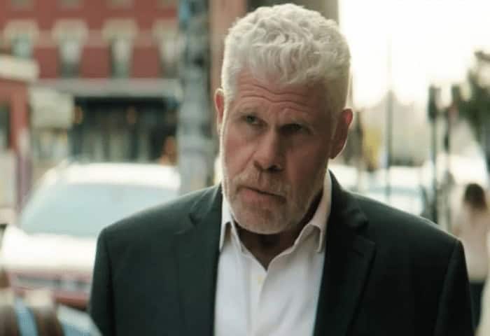 Asher Ron Perlman