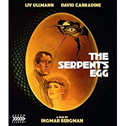 The Serpents Egg