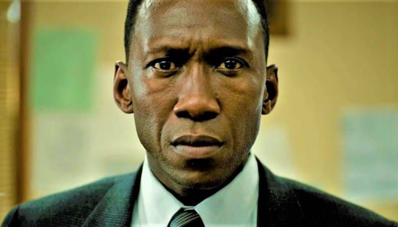 Thumbnail for A Hopeful ‘True Detective’ Season 3 Was Nic Pizzolatto’s Greatest Challenge