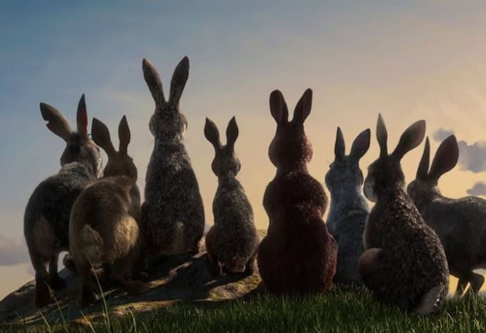 Watership Down