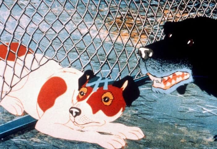 Discs The Plague Dogs