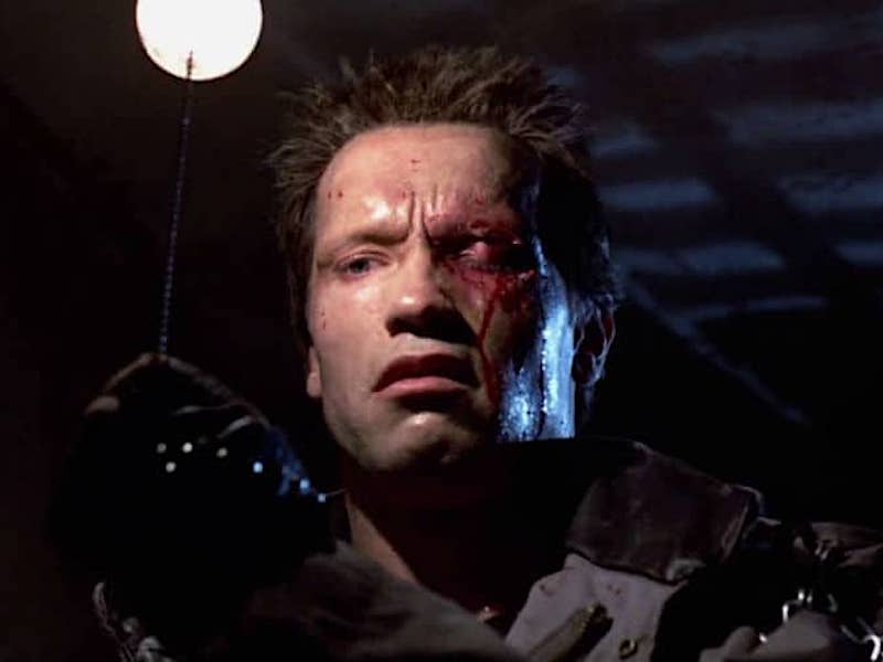 Terminator Schwarzenegger