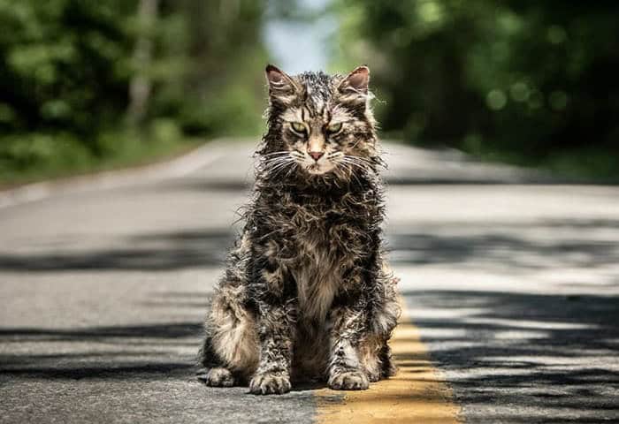 Pet Sematary
