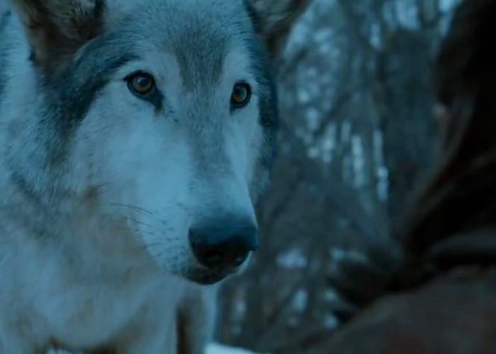 Thrones Characters Nymeria