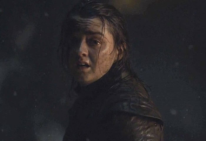 Arya Stark Long Night