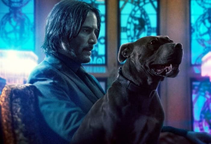 John Wick Chapter Poster