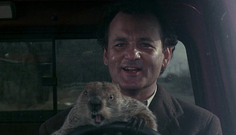 Groundhog Day Screenshot