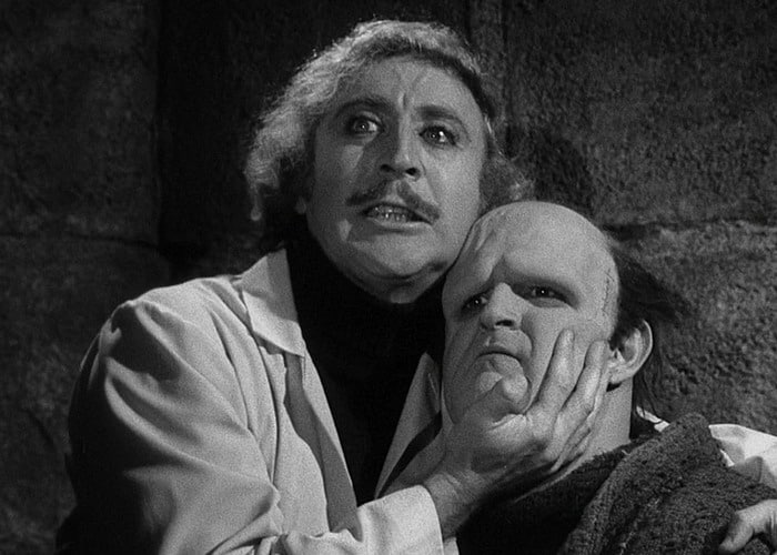 Best Comedy Movies Young Frankenstein