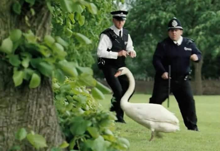 Hot Fuzz