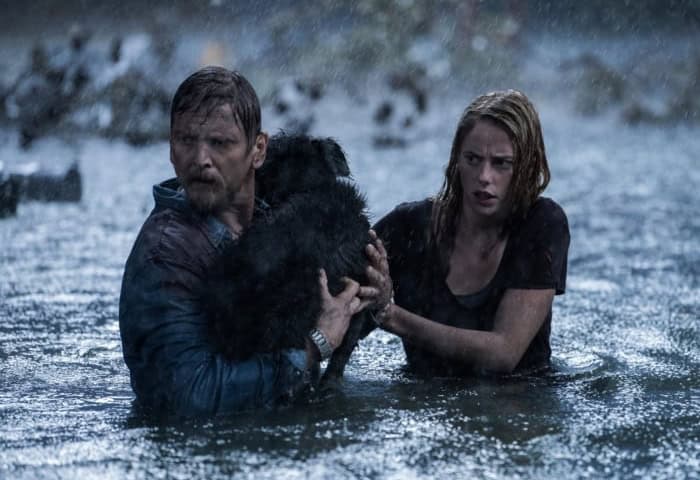 Thumbnail for ‘Crawl’ Review: A Bloody, B-Movie Blast