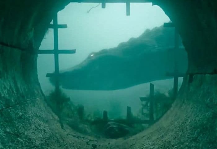 Thumbnail for 17 Movies About Killer Crocs to Goofy Gators, Ranked from Worst to Best
