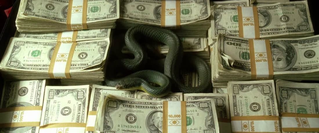 Snake