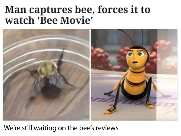 Bee Movie Memes