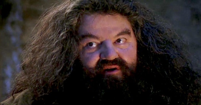Hagrid Wizard Harry