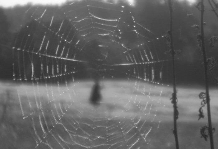Thumbnail for ‘A Field in England’ Review: The Director of ‘Kill List’ Gets Weird Out in a Field