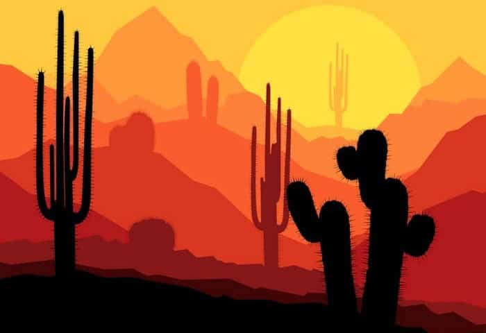 Desert Set