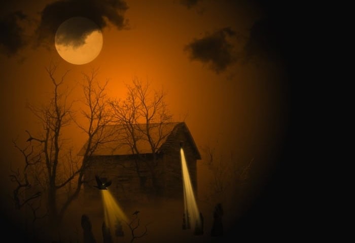 Horror In The Woods