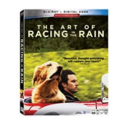 The Art Of Racing In The Rain
