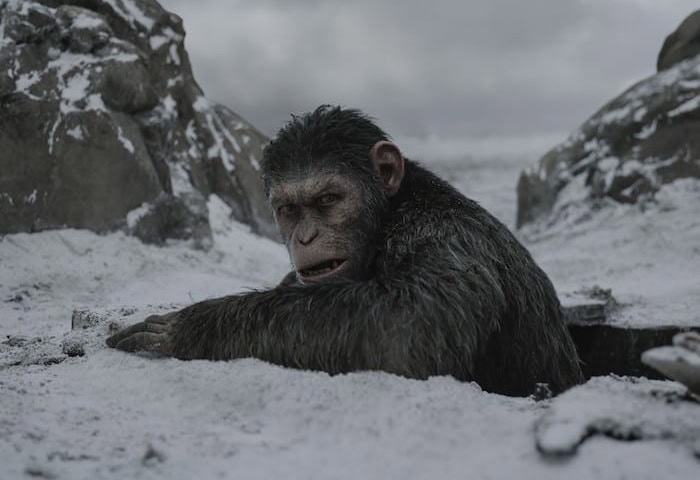 Thumbnail for The Real Lessons of The ‘Planet of the Apes’ Franchise