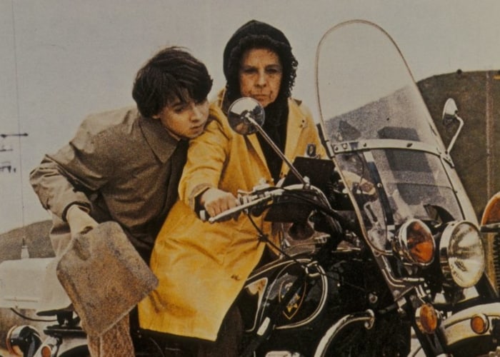 Harold And Maude