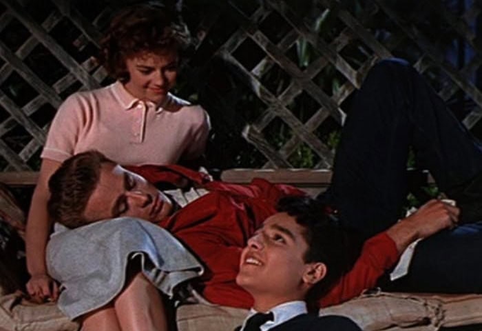 Rebel Without A Cause by Nicholas Ray