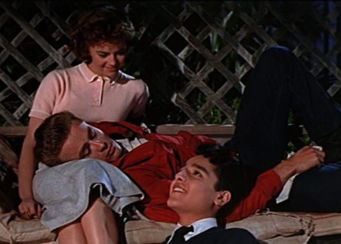 Rebel Without A Cause by Nicholas Ray