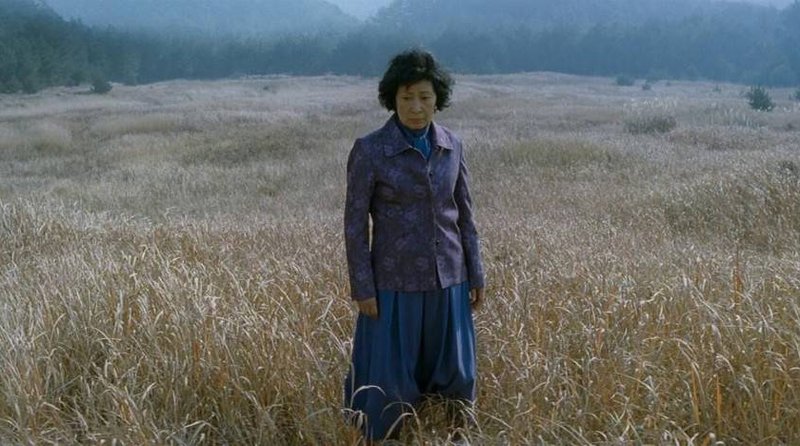 Thumbnail for What Bong Joon-ho Can Teach Us About Transnational Cinema