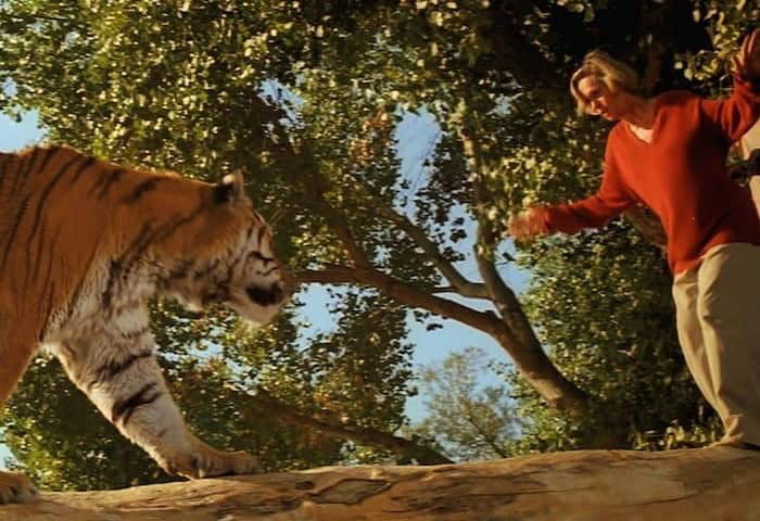 Roar