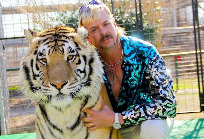 Thumbnail for Watch ‘Tiger King,’ Then Watch These Movies