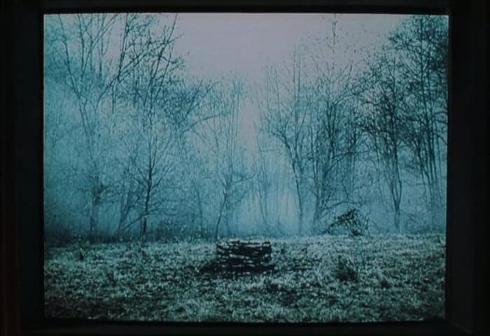 Thumbnail for The Ending of ‘The Ring’ Explained